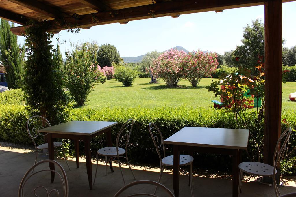 Agriturismo Eucaliptus Bolgheri Buitenkant foto