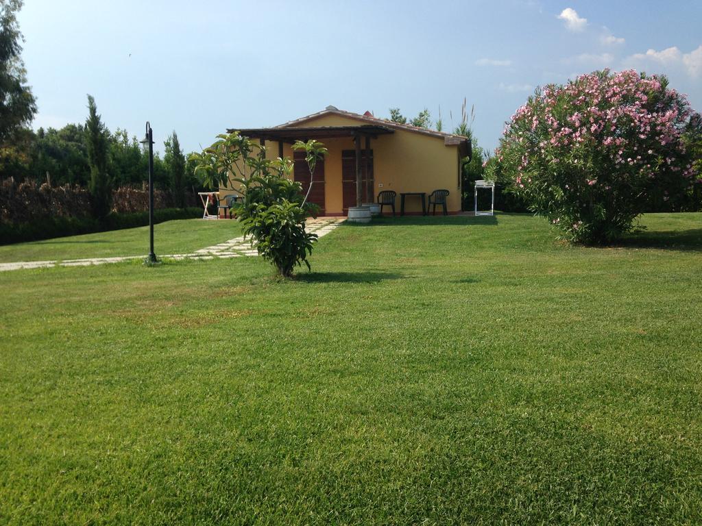 Agriturismo Eucaliptus Bolgheri Buitenkant foto